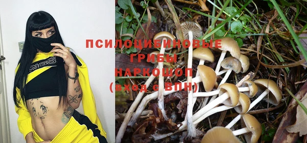 гидра Козельск