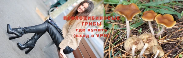 мет Корсаков